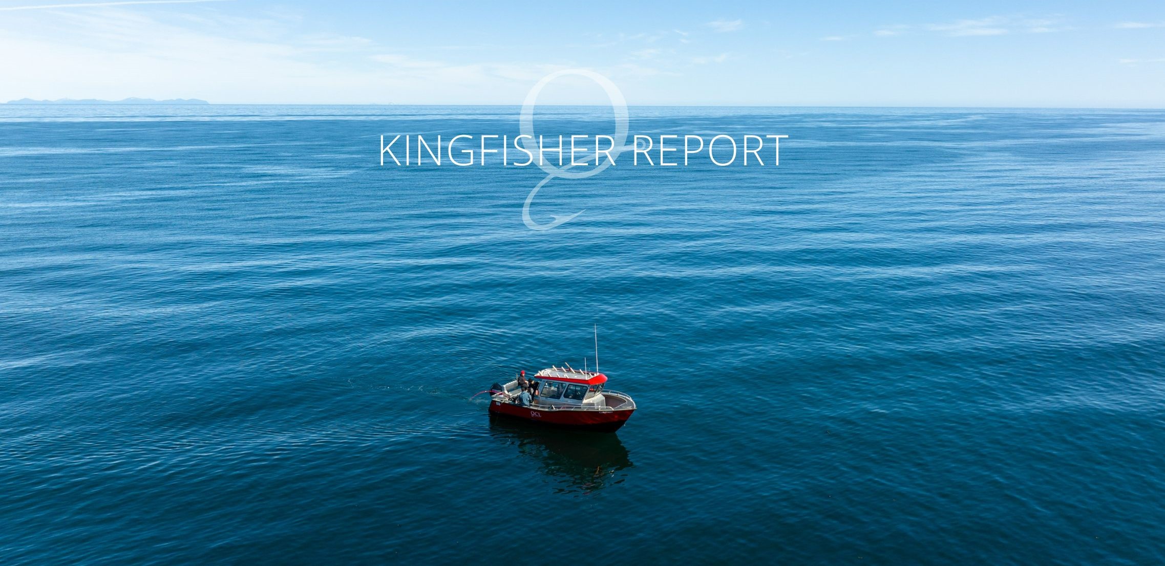 Kingfisher Report  June 28, 2023 - Queen Charlotte Lodge